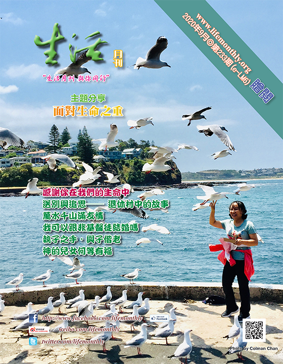 cover233