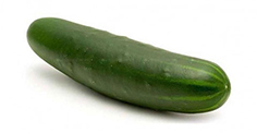 LM248_20cucumber