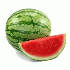 LM248_20watermelon