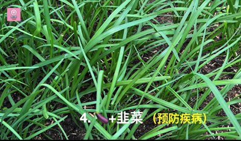 LM254_17a
